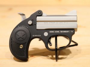 Bond Arms Stinger 22LR