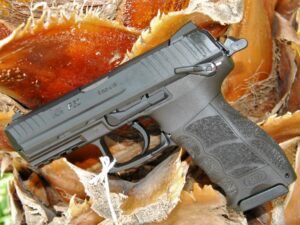 Glock 17 Gen 4 FXD 9mm - ADELBRIDGE & CO