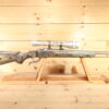 RUGER No. 1 22-250