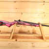 Keystone Sporting Arms Crickett 22LR