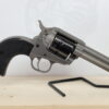 RUGER Wrangler 22LR