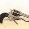 RUGER Wrangler 22 LR