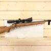 RUGER American 22 LR