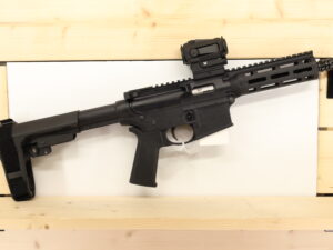 Smith & Wesson - S&W M&P15-22 22 LR