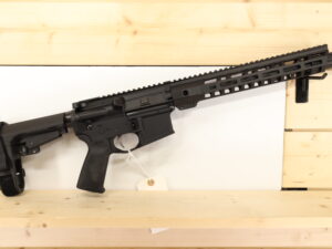 Palmetto State Armory PA-15 5.56x45