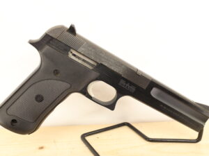 Smith & Wesson - S&W 422 22 LR