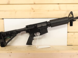 Palmetto State Armory PA-15 5.56x45
