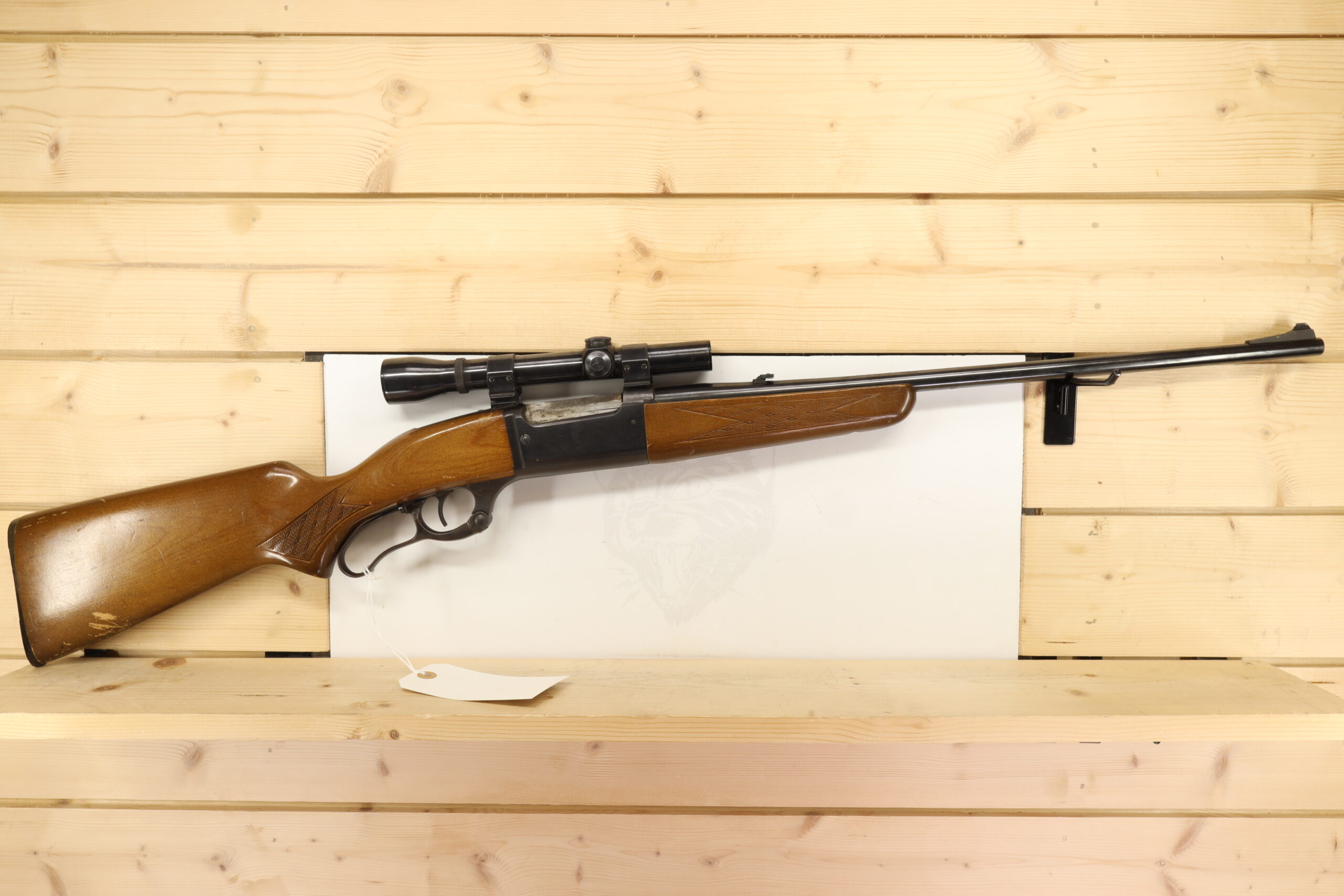 SAVAGE ARMS Model 99E 243WIN
